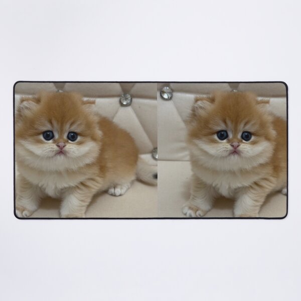 Item preview, Adorable Fluffy Ginger  British Kitten Portrait designed and sold by oxananemyrovska.