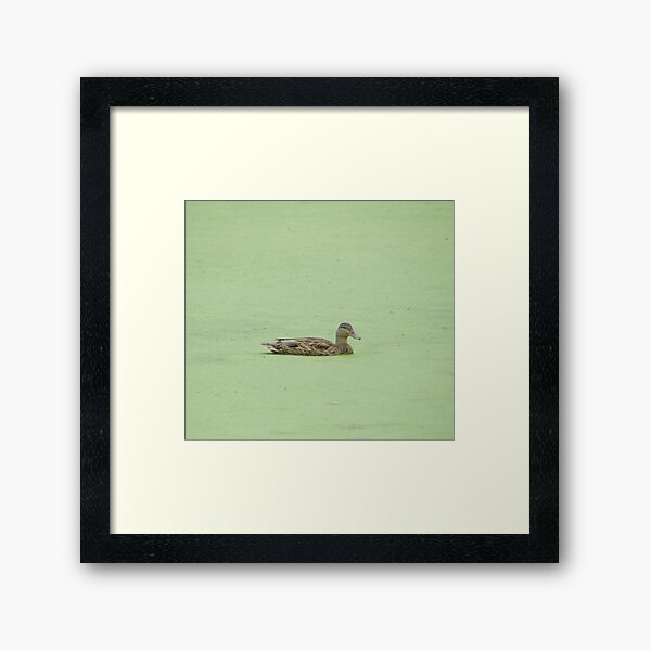A Day At The Algae Spa Framed Art Print