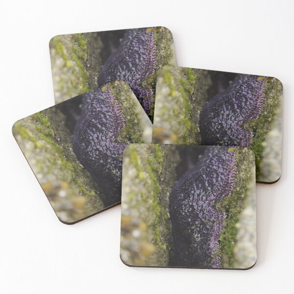 Item preview, Purple Ochre Sea Star designed and sold by Sometimes-store.