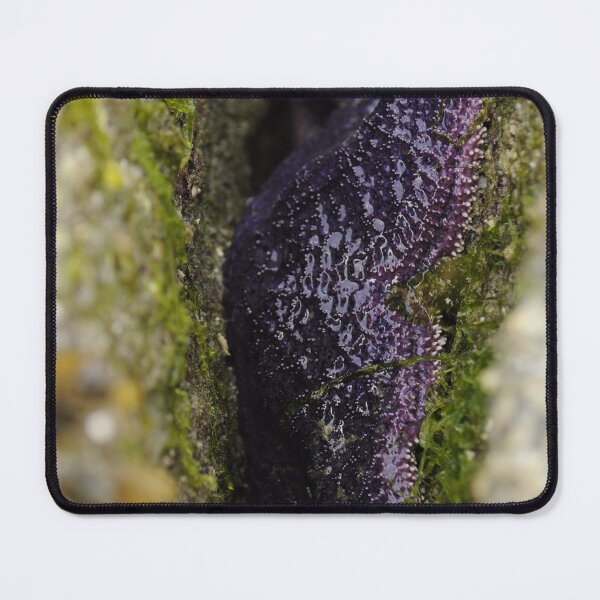Item preview, Purple Ochre Sea Star designed and sold by Sometimes-store.