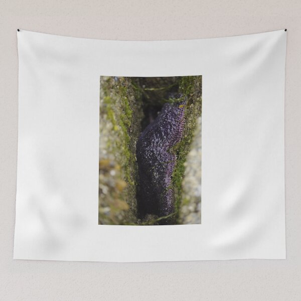 Item preview, Purple Ochre Sea Star designed and sold by Sometimes-store.