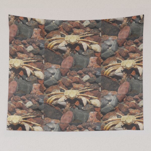 Item preview, The Hidden Crab: Marine Life Among Sandy Rocks designed and sold by MouhamedAdel95.