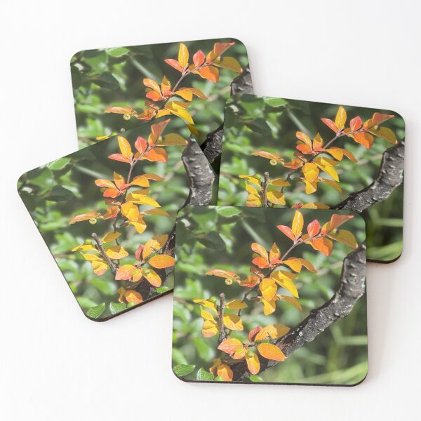 Item preview, Orange Leaves designed and sold by Krista-Joan-Art.