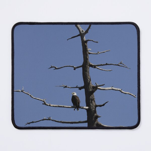 Item preview, Bald Eagle designed and sold by Sometimes-store.