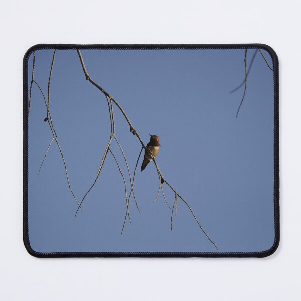 Item preview, Ruby Throated Hummingbird designed and sold by Sometimes-store.