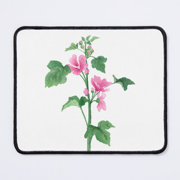Item preview, March 22nd birthday flower Mallow designed and sold by 366birthflower.