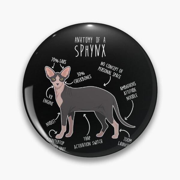 Item preview, Black Bicolor Sphynx Cat Anatomy designed and sold by Clara Hollins.