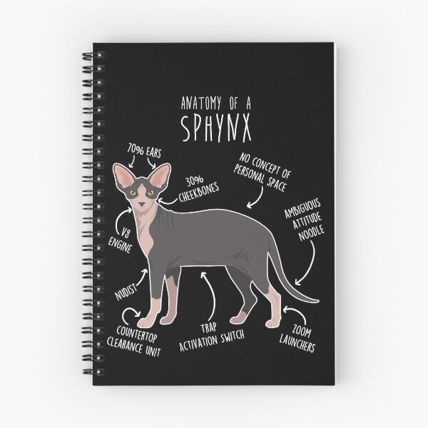 Item preview, Black Bicolor Sphynx Cat Anatomy designed and sold by Clara Hollins.