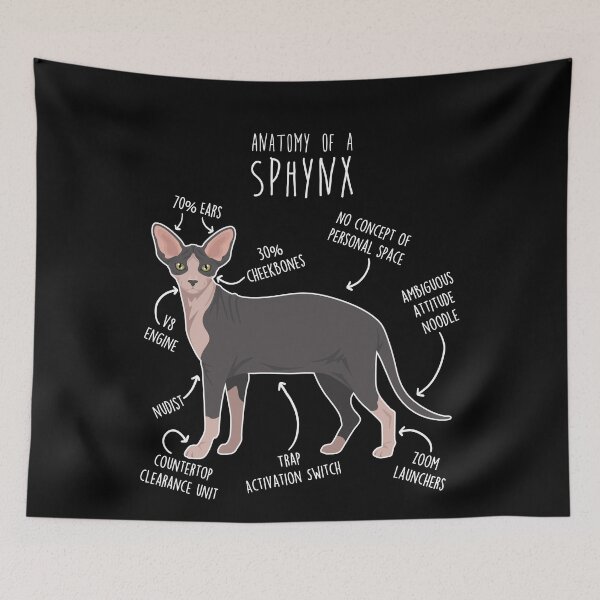 Item preview, Black Bicolor Sphynx Cat Anatomy designed and sold by Clara Hollins.