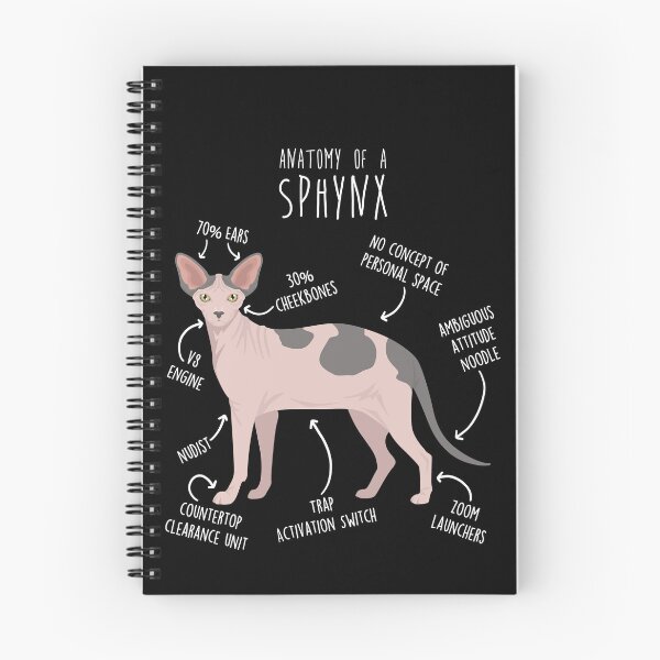 Item preview, Bicolor Sphynx Cat Anatomy designed and sold by Clara Hollins.
