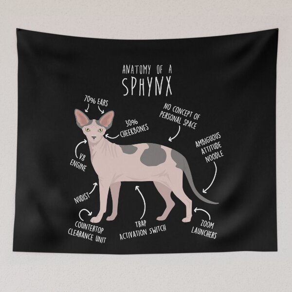Item preview, Bicolor Sphynx Cat Anatomy designed and sold by Clara Hollins.