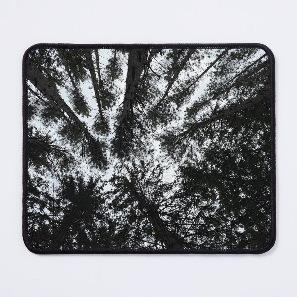 Item preview, Pine trees designed and sold by emiliabuntz.
