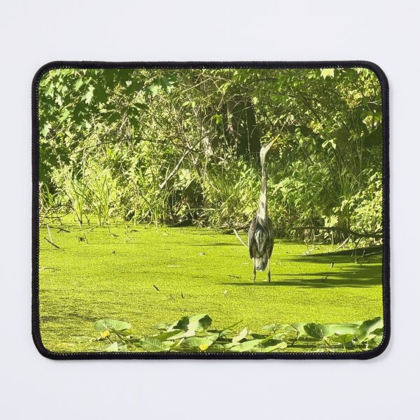 Item preview, Great blue heron designed and sold by emiliabuntz.