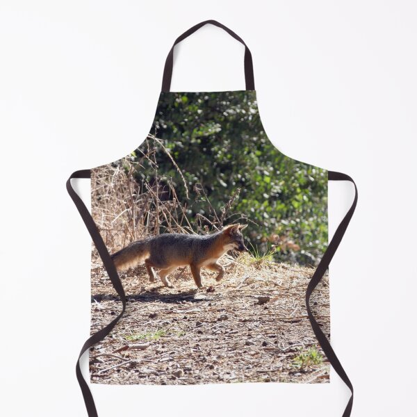 Item preview, Channel Island Fox (Urocyon littoralis), Santa Cruz Island, California designed and sold by Douglas E. Welch Design and Photography.