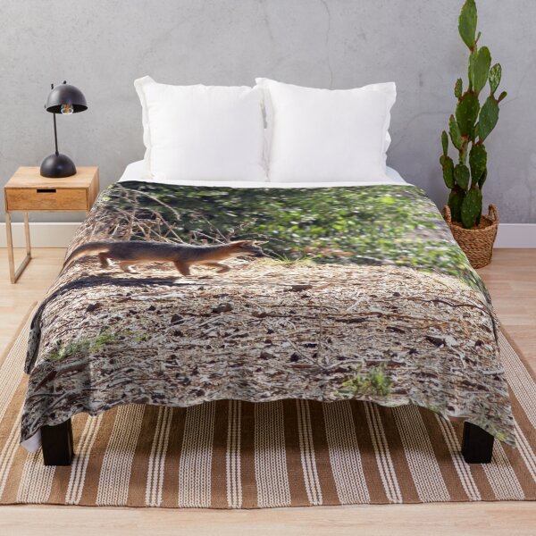 Item preview, Channel Island Fox (Urocyon littoralis), Santa Cruz Island, California designed and sold by Douglas E. Welch Design and Photography.