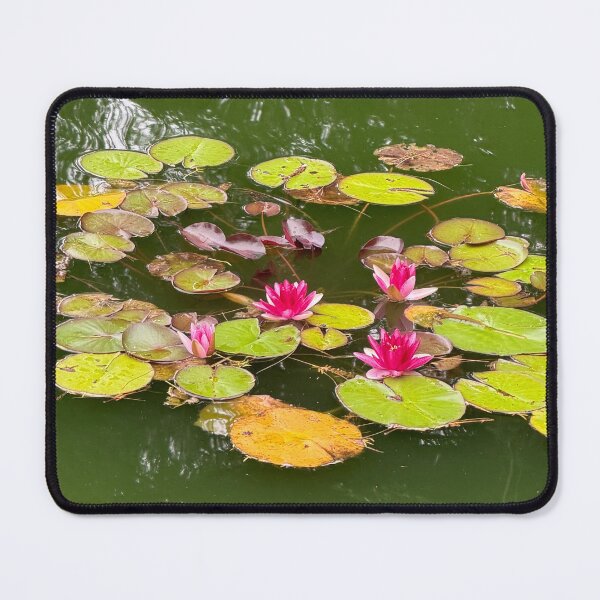 Item preview, Water lilies designed and sold by emiliabuntz.