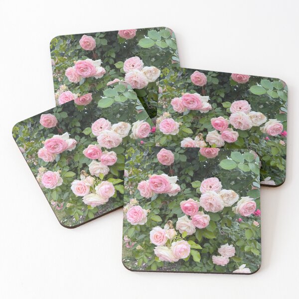 Item preview, Roses designed and sold by emiliabuntz.