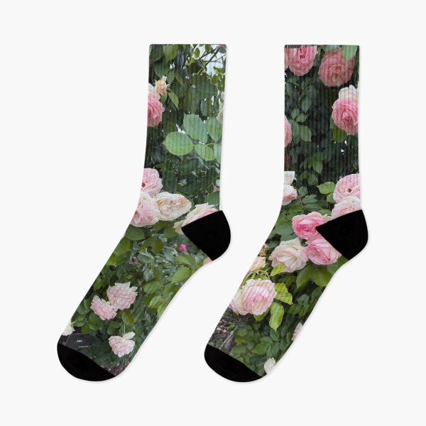Item preview, Roses designed and sold by emiliabuntz.