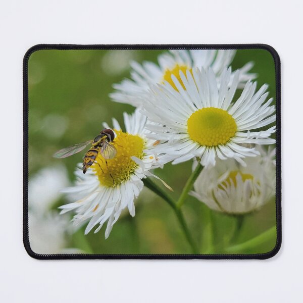 Item preview, Bee-a-utifil designed and sold by Lunar Bound Imagery .