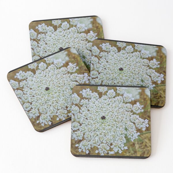 Item preview, spring bloom, wild carrot designed and sold by Lunar-Dragon.