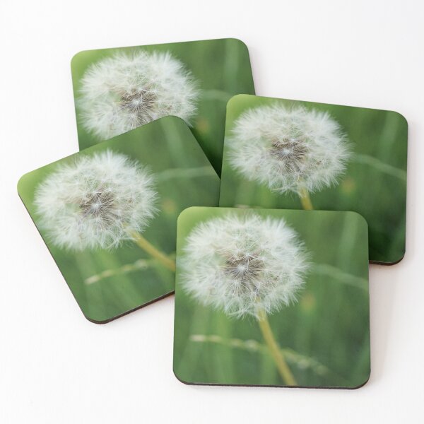 Item preview, Dandelion Seed Head in Meadow | Macro Nature Photography designed and sold by pigeonlovrs.