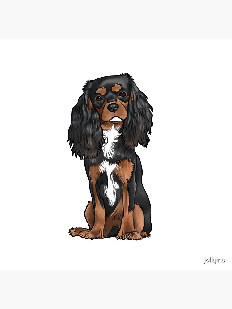 tan king charles spaniel