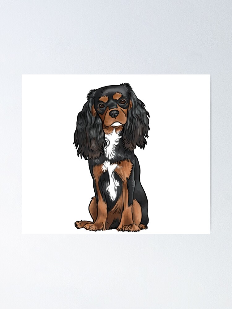 Cavalier King Charles Spaniel Black And Tan Poster By Jollyinu