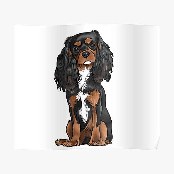 Cavalier King Charles Spaniel - Black and Tan Poster