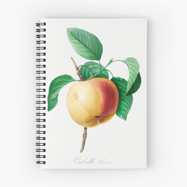 Item preview, Apple Fruit Vintage Botanical Illustration designed and sold by TheRetroArtRoom.