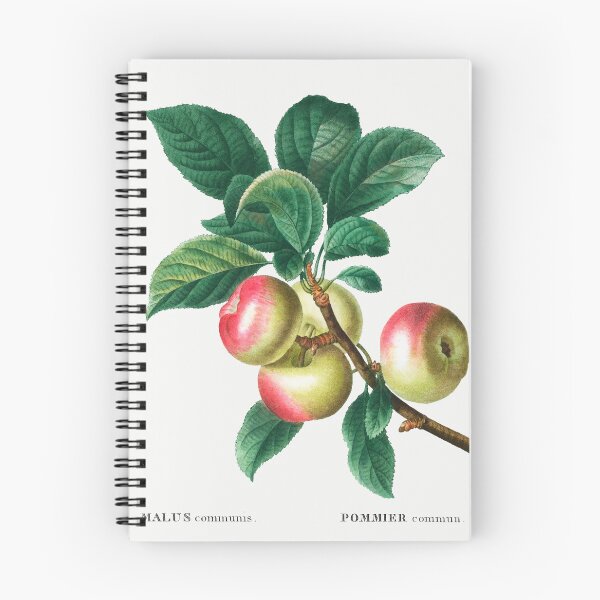 Item preview, Apples on Branch Fruit Vintage Botanical Illustration designed and sold by TheRetroArtRoom.