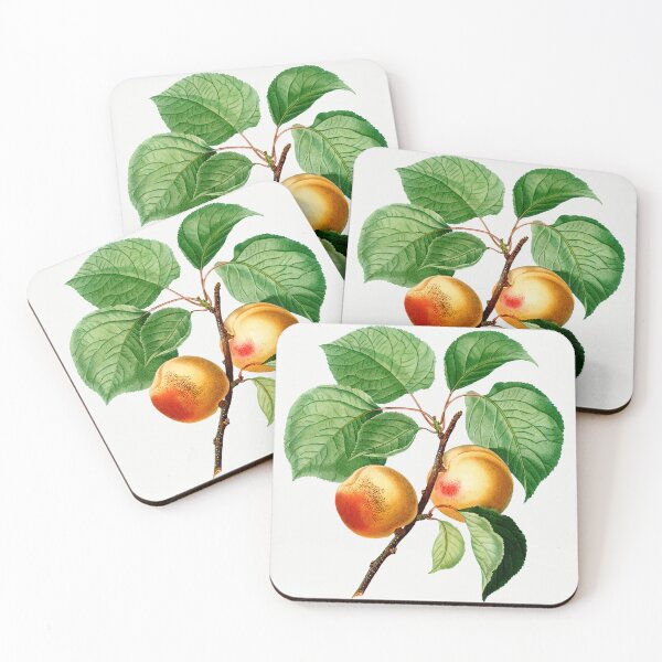 Item preview, Apricots Fruit Vintage Botanical Illustration designed and sold by TheRetroArtRoom.