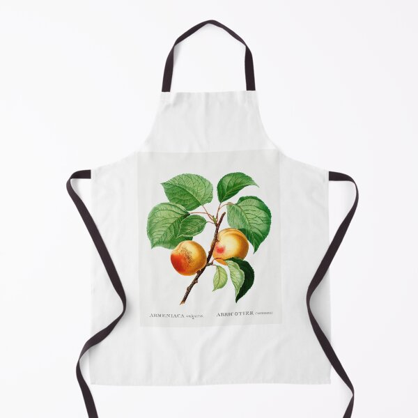 Item preview, Apricots Fruit Vintage Botanical Illustration designed and sold by TheRetroArtRoom.