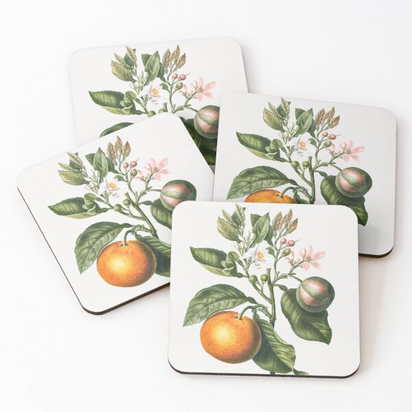 Item preview, Bitter Orange Fruit Vintage Botanical Illustration designed and sold by TheRetroArtRoom.
