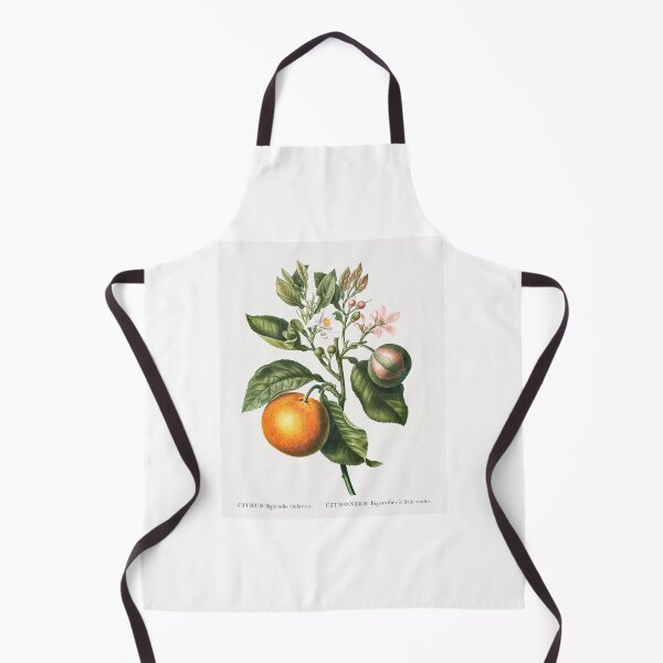 Item preview, Bitter Orange Fruit Vintage Botanical Illustration designed and sold by TheRetroArtRoom.
