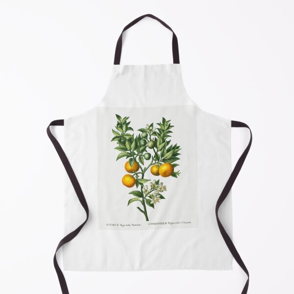 Item preview, Bitter Sweet Oranges Fruit Vintage Botanical Illustration designed and sold by TheRetroArtRoom.