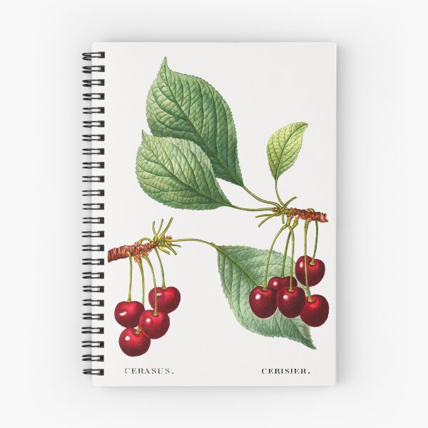 Item preview, Cherry Fruit Vintage Botanical Illustration designed and sold by TheRetroArtRoom.