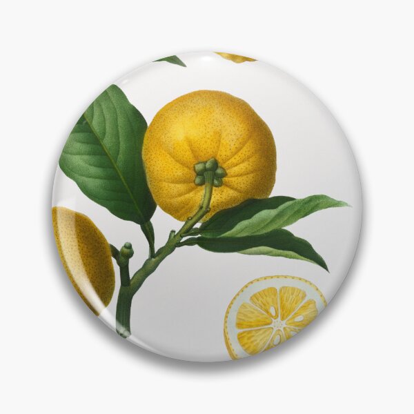 Item preview, Citrus Fruit Vintage Botanical Illustration designed and sold by TheRetroArtRoom.