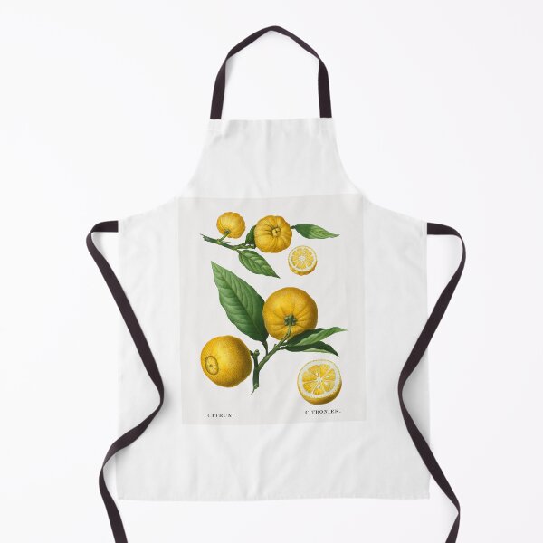 Item preview, Citrus Fruit Vintage Botanical Illustration designed and sold by TheRetroArtRoom.