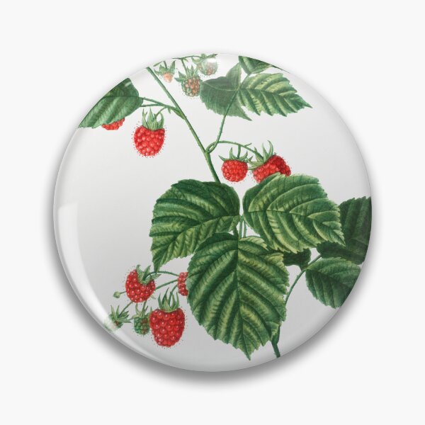 Item preview, Raspberry Fruit Vintage Botanical Illustration designed and sold by TheRetroArtRoom.