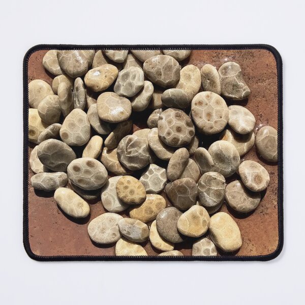 Item preview, Awesome Lakes Petoskey Stones designed and sold by Monicasalma.