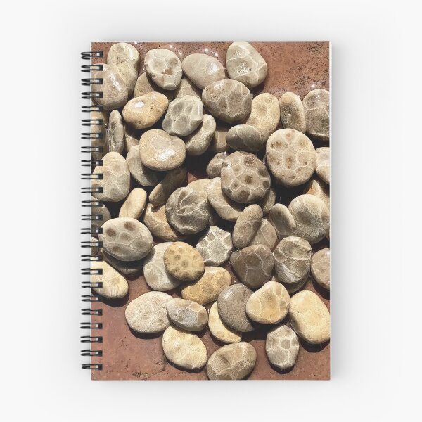 Item preview, Awesome Lakes Petoskey Stones  designed and sold by Monicasalma.