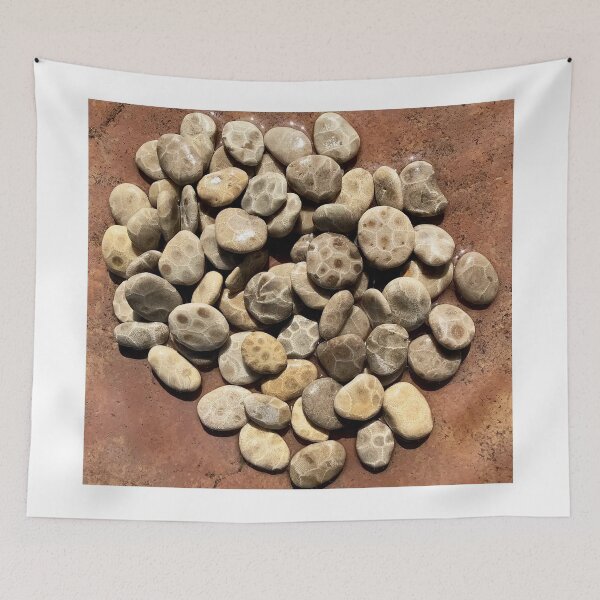 Item preview, Awesome Lakes Petoskey Stones  designed and sold by Monicasalma.