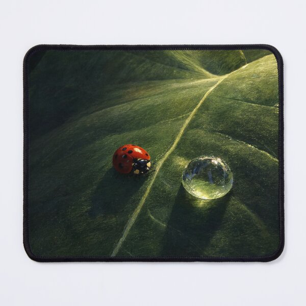 Item preview, Lady Bug and Rain Drop designed and sold by Designs By Ms Mal_Tas.