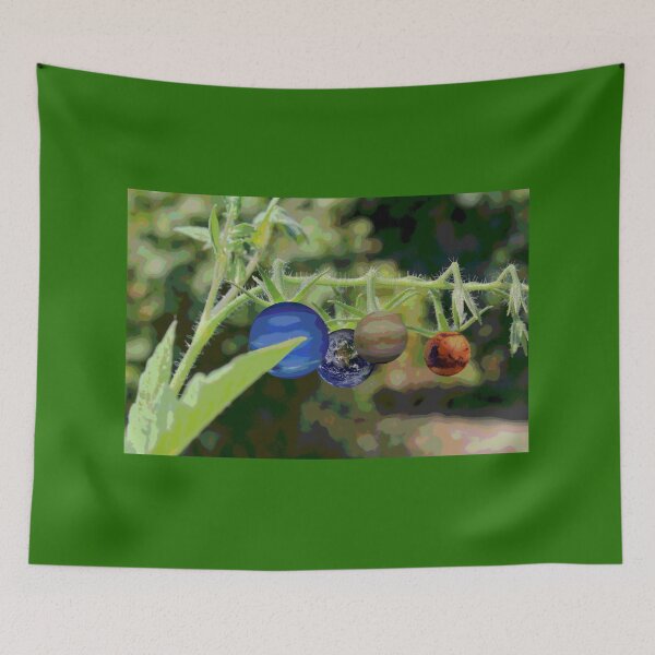 Item preview, Solar fruits designed and sold by Jesse-Dess.