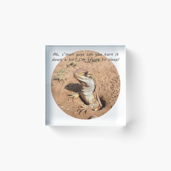 Item preview, If lizards could only talk! designed and sold by Inspired Arts.