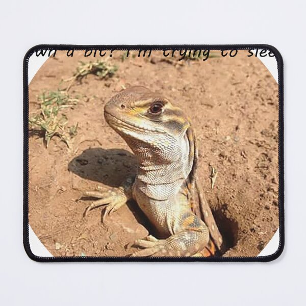 Item preview, If lizards could only talk! designed and sold by Inspired Arts.