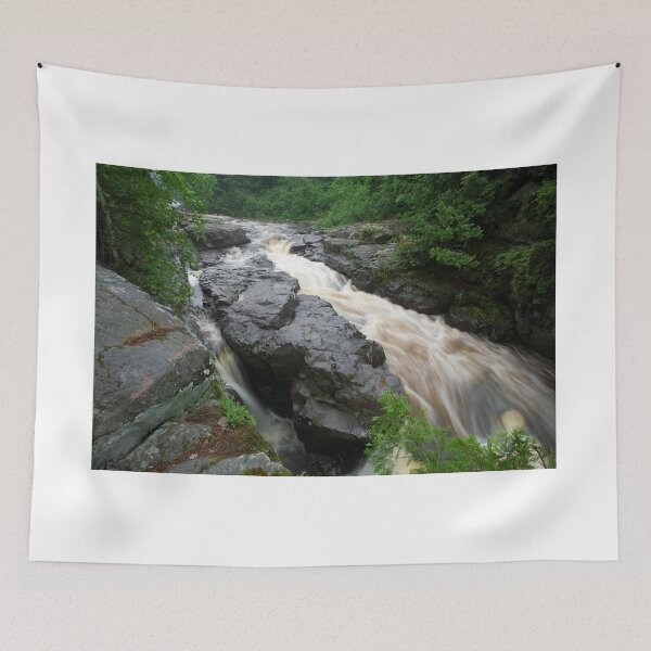 Item preview, Sturgeon River Gorge at Canyon Falls in Michigan's designed and sold by Monicasalma.