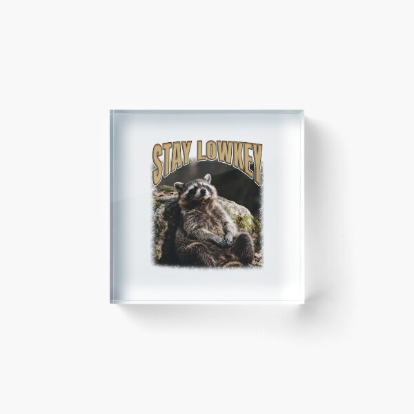 Item preview, Stay Lowkey Chill Raccoon Saying designed and sold by bngfx.