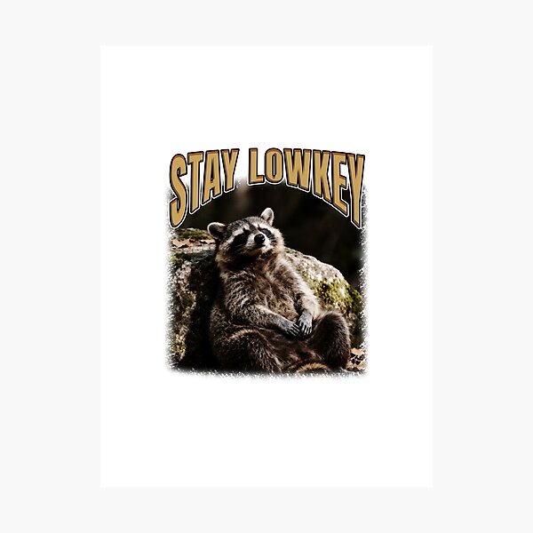 Item preview, Stay Lowkey Chill Raccoon Saying designed and sold by bngfx.