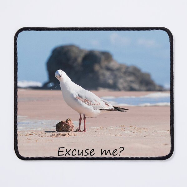 Item preview, Maybe if seagulls could talk... designed and sold by Inspired Arts.